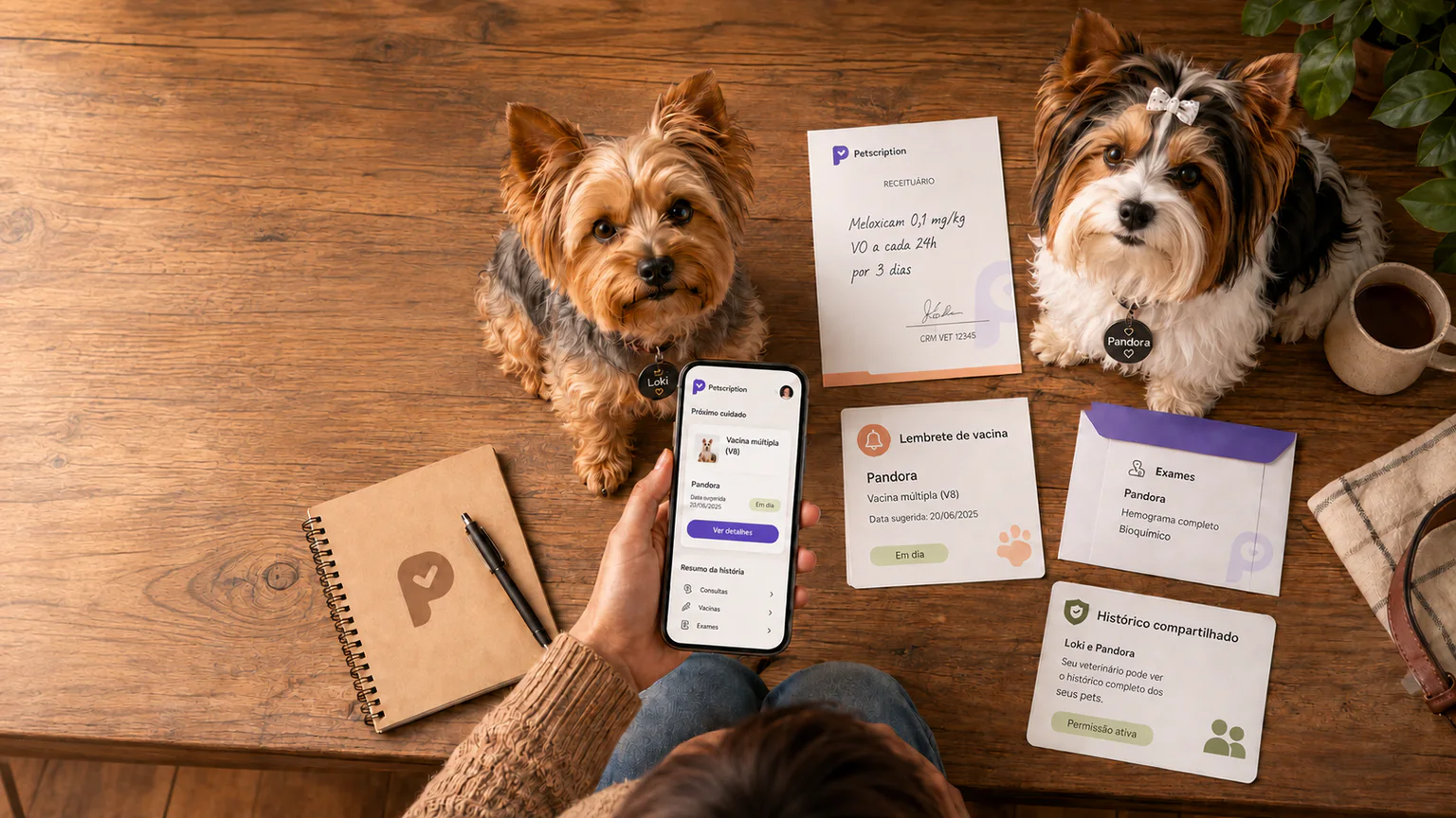 Loki e Pandora junto a um telefone com o próximo cuidado, receituário, lembrete de vacina e histórico compartilhado